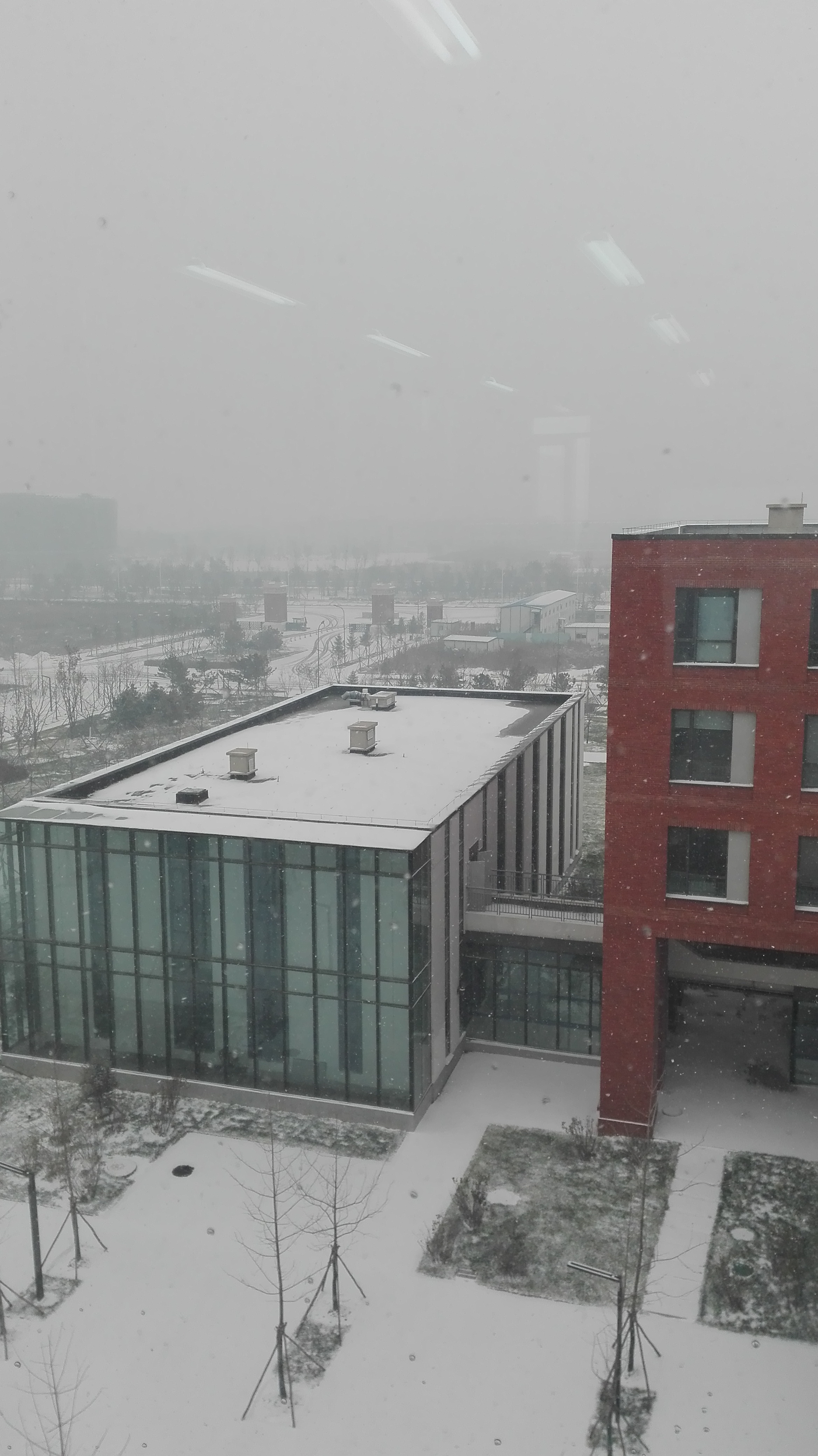 东大雪景1.jpg