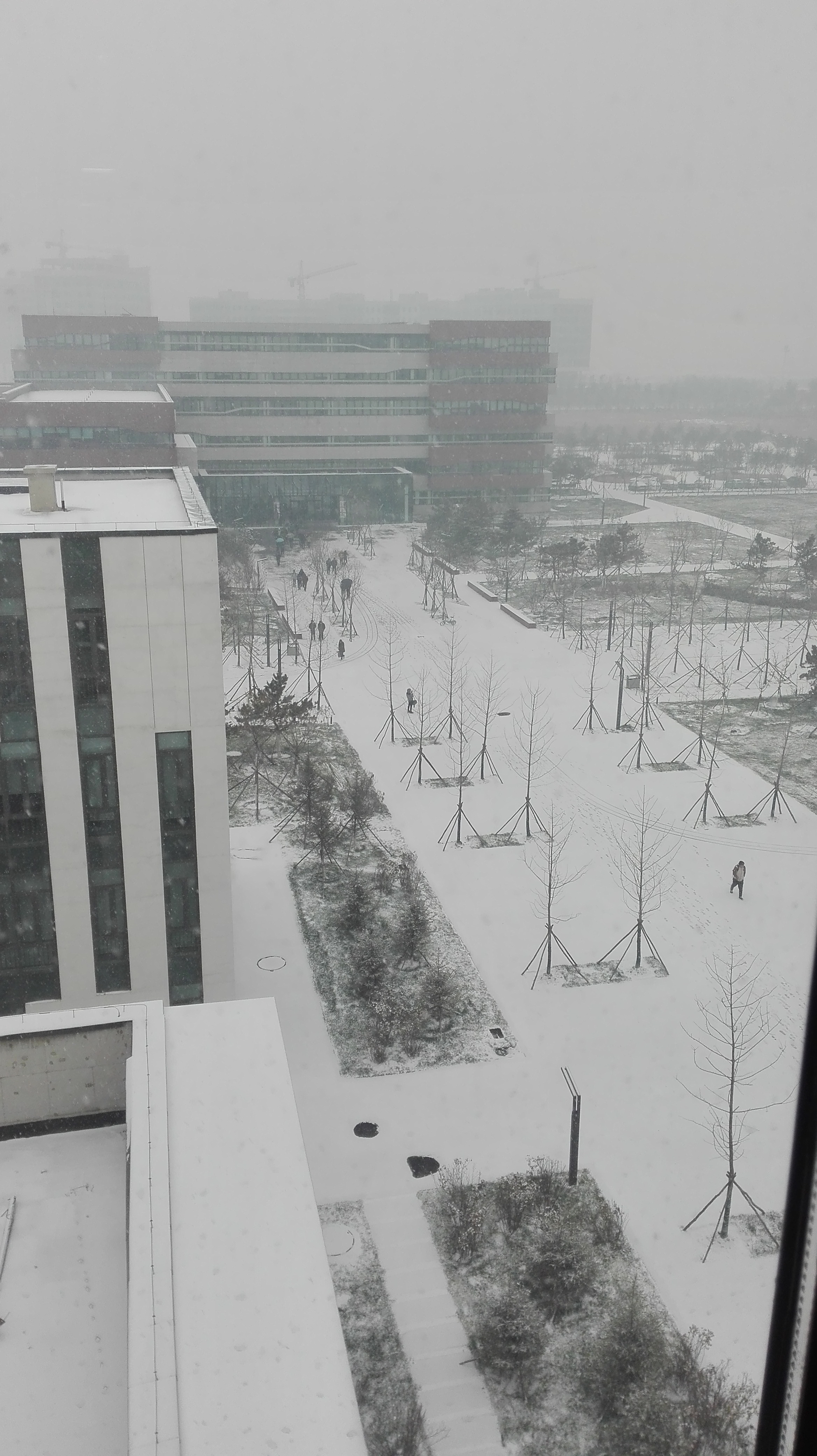 东大雪景2.jpg