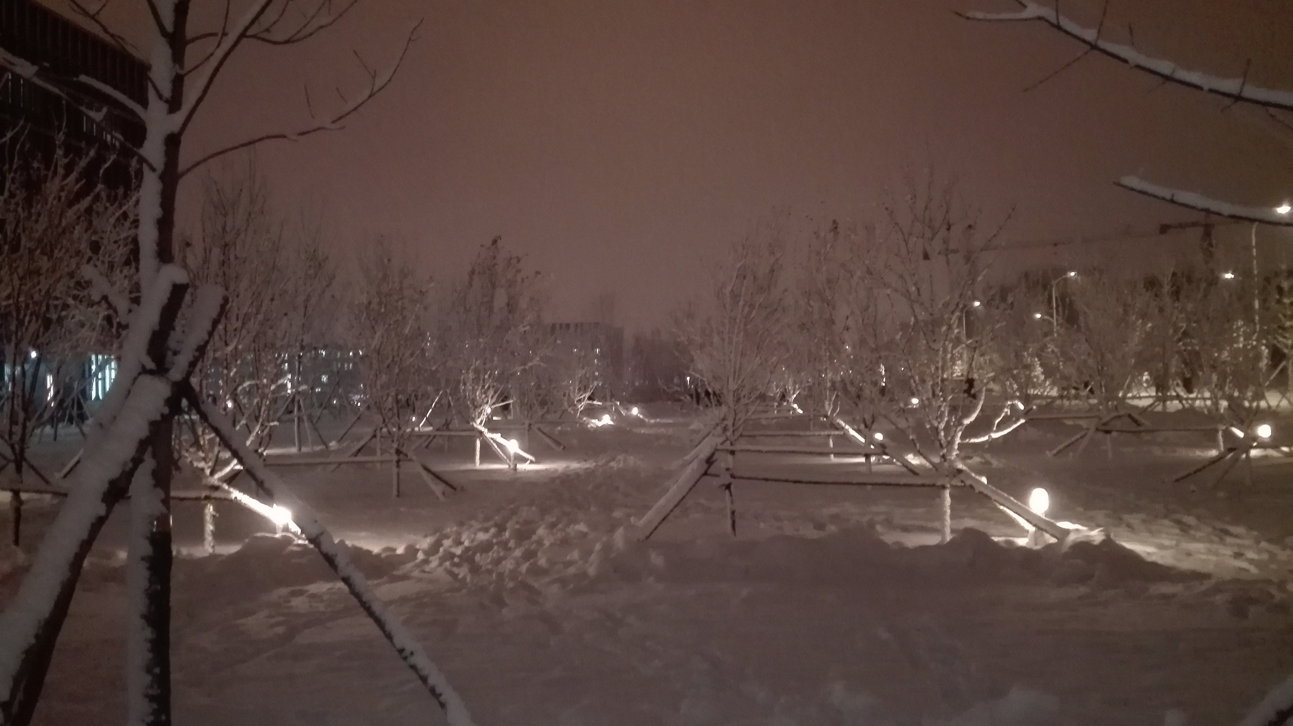 东大雪景5.jpg