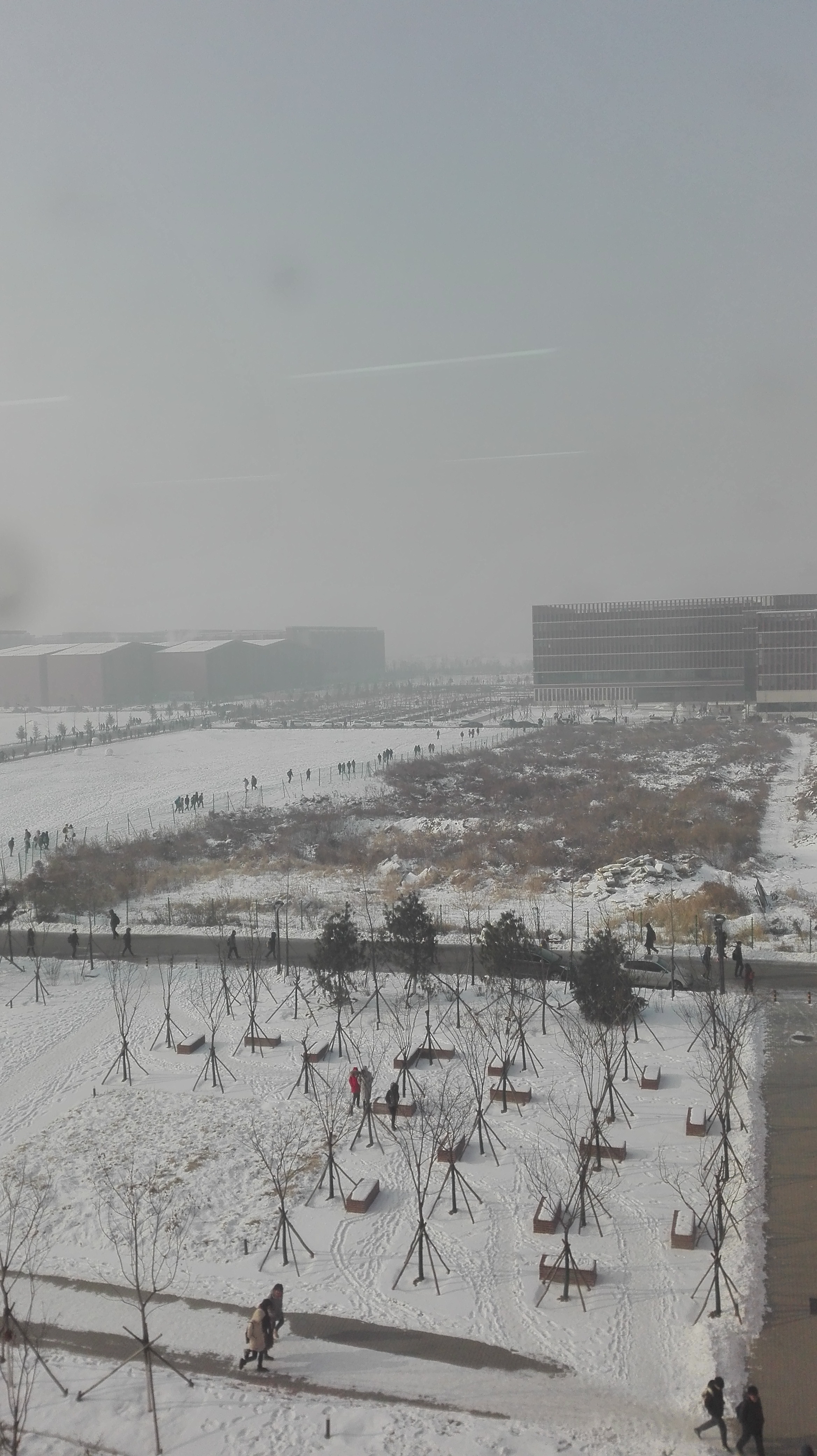 东大雪景4.jpg